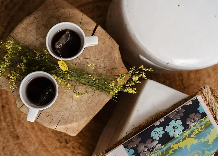 Amy Agios Prokopis * Ájosz Prokópiosz