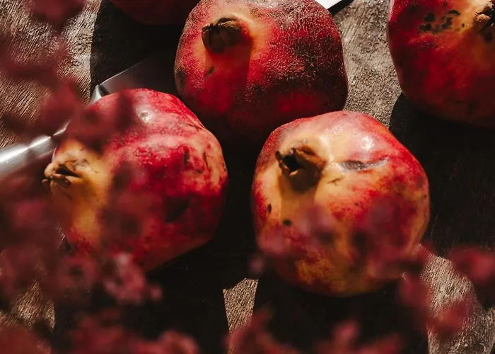 Amy Agios Prokopis Nyaraló Ájosz Prokópiosz