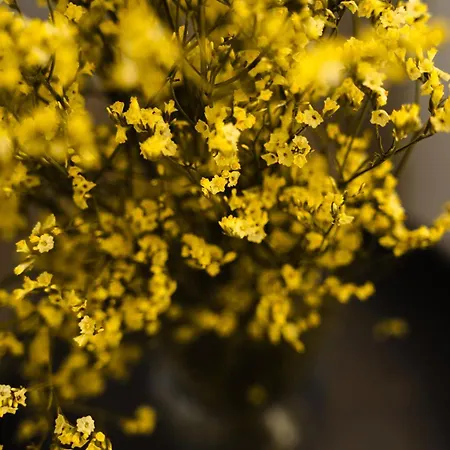 Vakantiehuis Amy Agios Prokopis Agios Prokopios (Naxos)