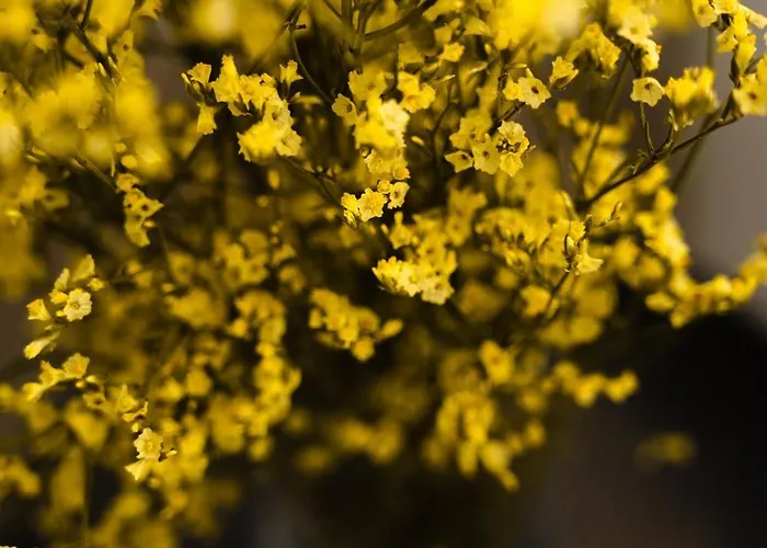 度假居 Amy Agios Prokopis 阿吉奥斯普罗科皮奥斯